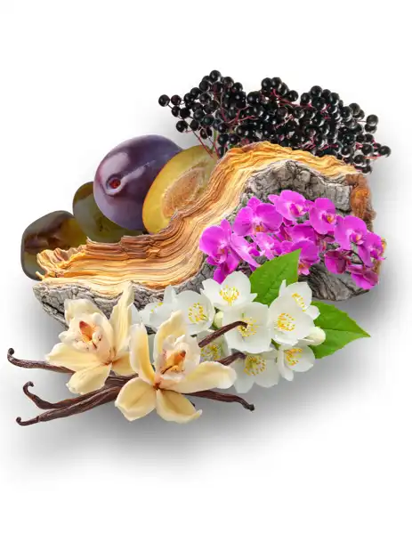 Floral Brisa Clean Fragrance - Clean Fragrances